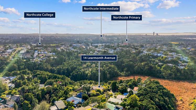 14 Learmonth Avenue Birkenhead Point_43