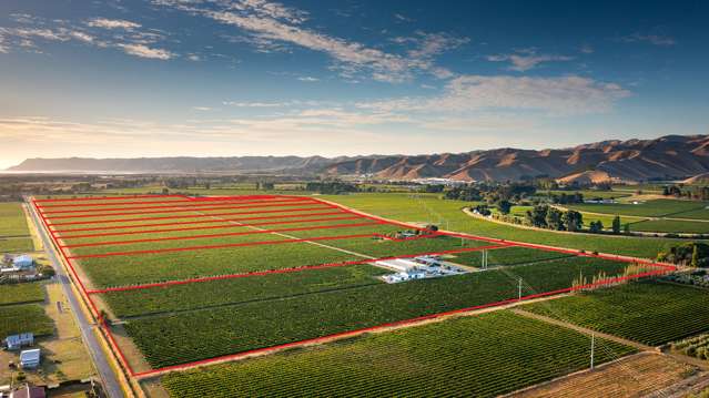 75.15 hectare lower Wairau Vineyard with 10 titles