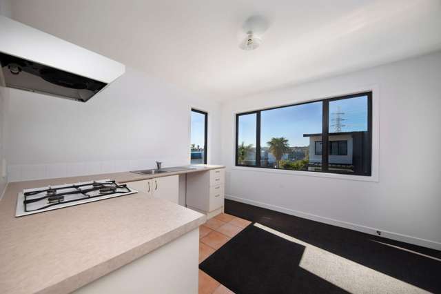 175A Harris Road East Tamaki_3