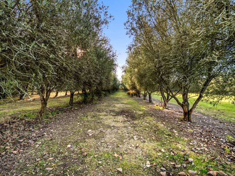 46 Vicenza Drive Ohoka_25