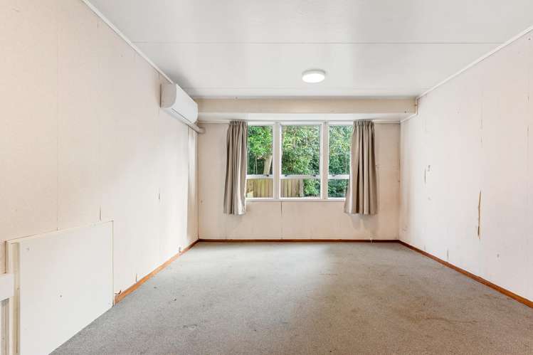 299a Mount Albert Road Sandringham_8
