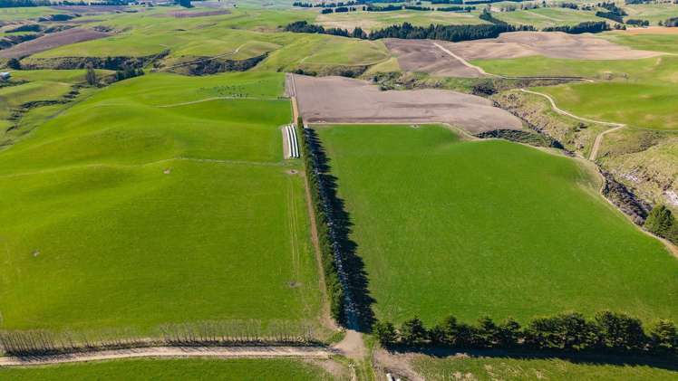 467 Waihaorunga Back Road Elephant Hill_4