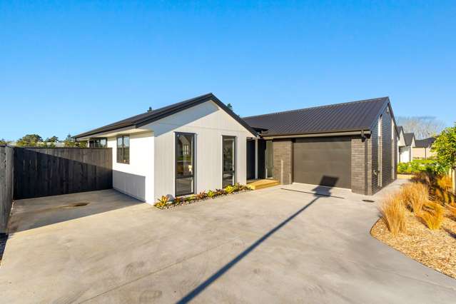 BRAND NEW HIGH SPEC LIVING IN PAERATA RISE!