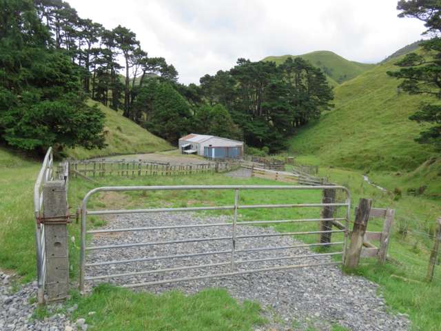 629 Tamaki East Road Rangitikei Surrounds_1