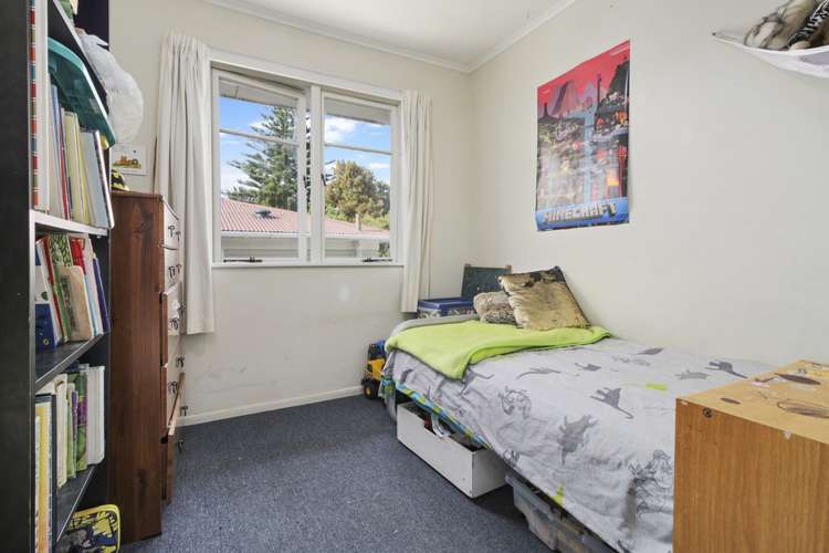 18 Harmony Avenue Otahuhu_13