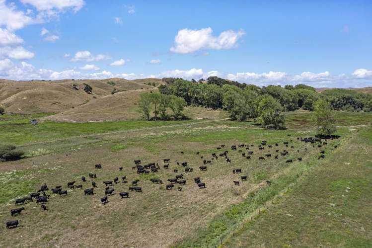 475 Te Akau South Road Te Akau_22