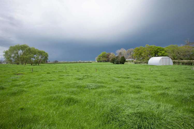 124 Horrell Road Morrinsville_2