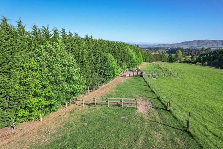 102 Scargill Valley Road Greta Valley_15