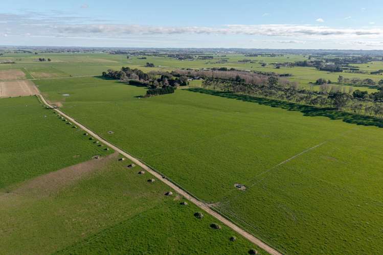 325 Reid Line East Bunnythorpe_9