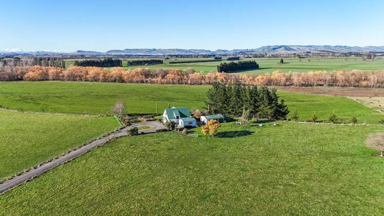 368 Balfour Road Ashley Clinton_16