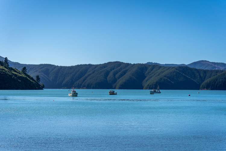 23 Te Tio Terrace Port Underwood_8