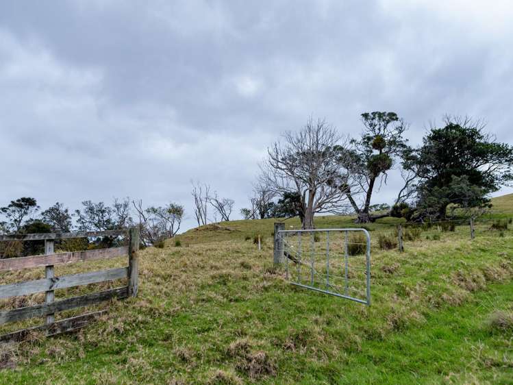 198 Carey Road_2