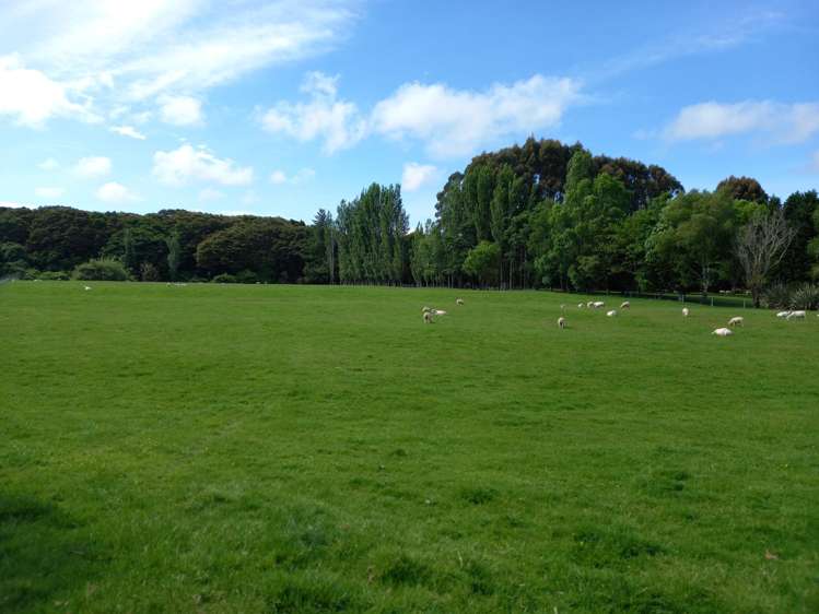 66 Clifden Highway Tuatapere_10