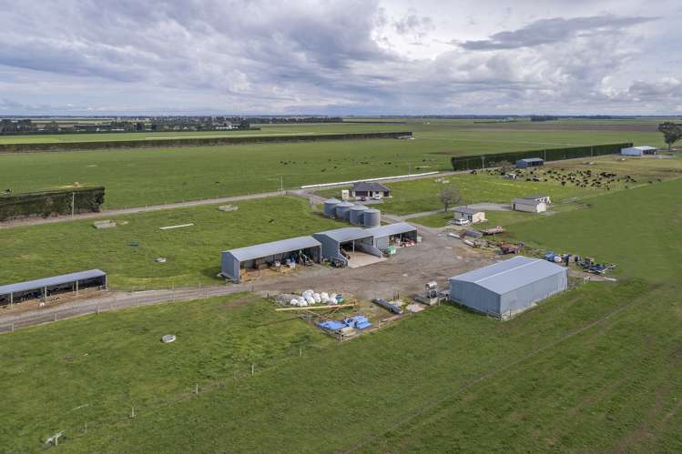 897 Buckleys Road Wakanui_15