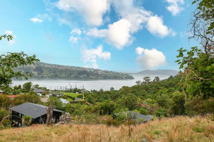 12 Rimu Street Ravensbourne_21