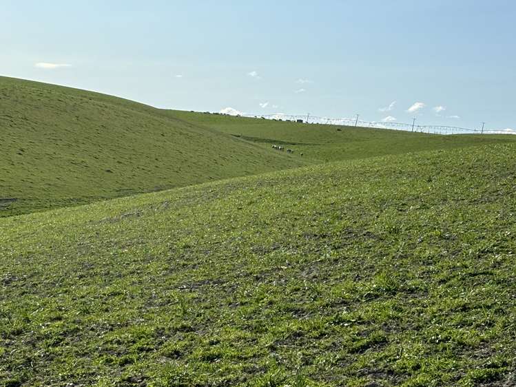 Round Hill Road Five Forks and Surrounds_12