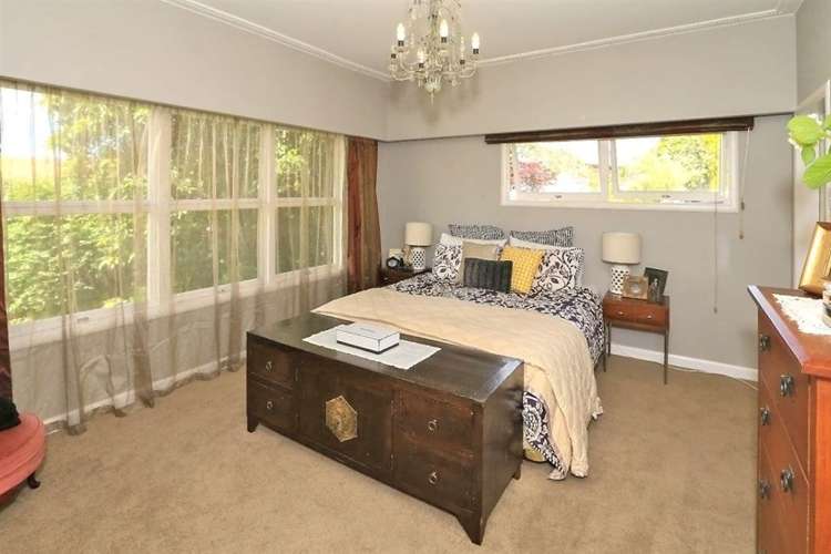 8 Menzies Street Beerescourt_10