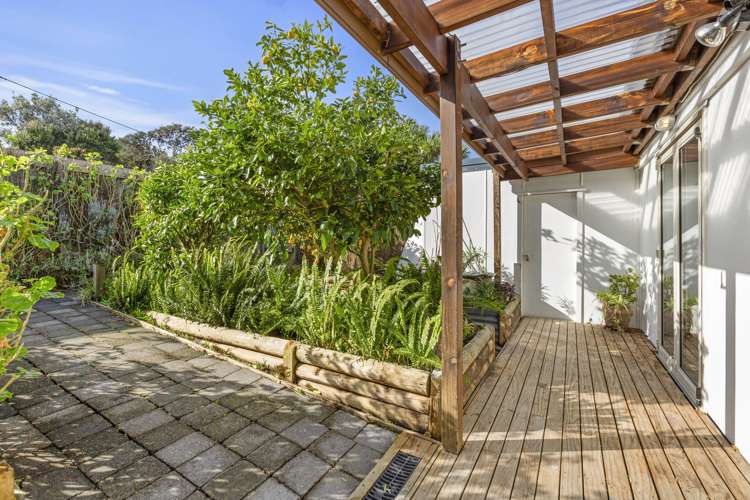 23 Government Road Raglan_21