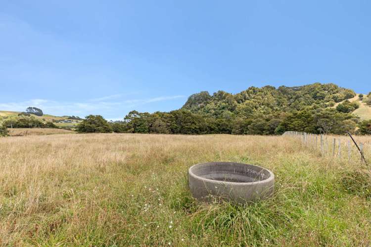 645 West Coast Road Makarau_18