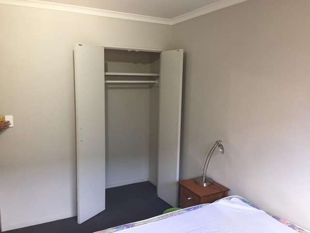 60C Willoughby Street Whitiora_2