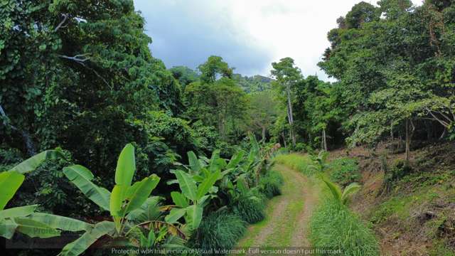 Address withheld Savusavu_4