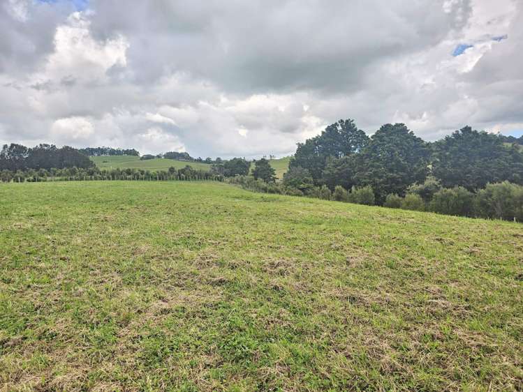 Lot Lot 5 Dodd Road Maungaturoto_6