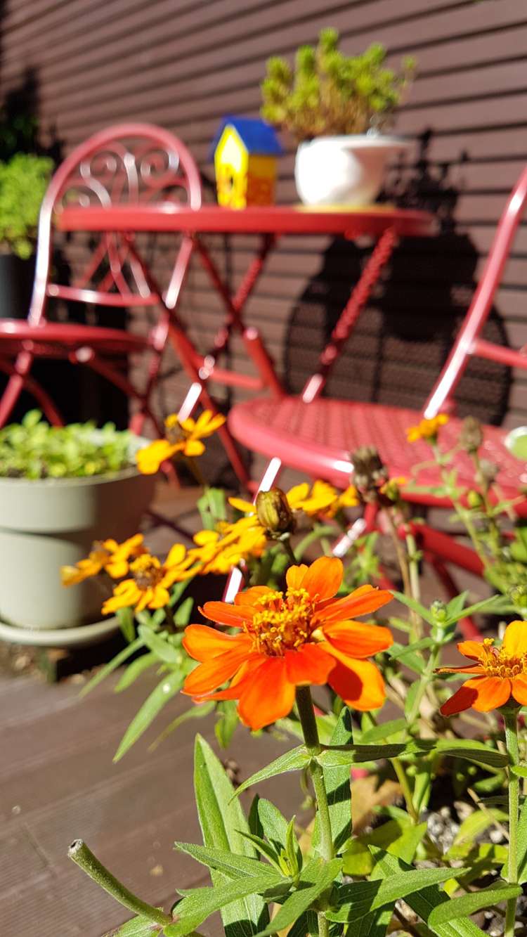 47 The Track Takanini_11