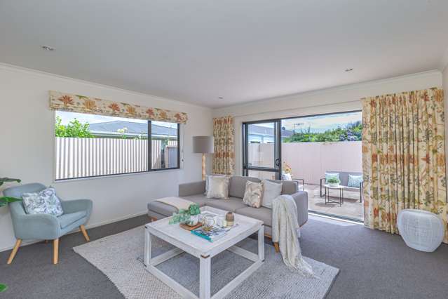 61a Salisbury Street Levin_1