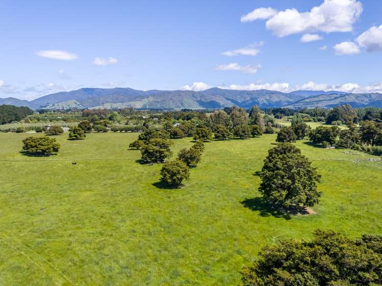 Humphries Street Greytown_6