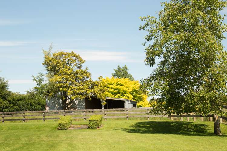 369 Gleniti Road Hadlow_23