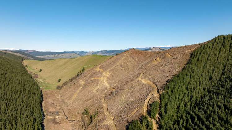 Motueka Valley Highway - Rabbit Gully Motueka Valley_11