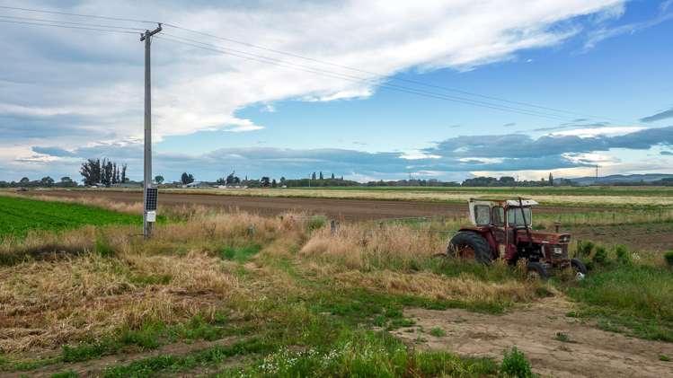 Bradshaws Road Waimate_28