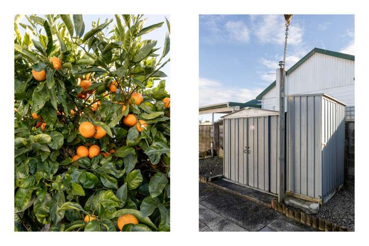 24 Henderson Street Whakatane_14