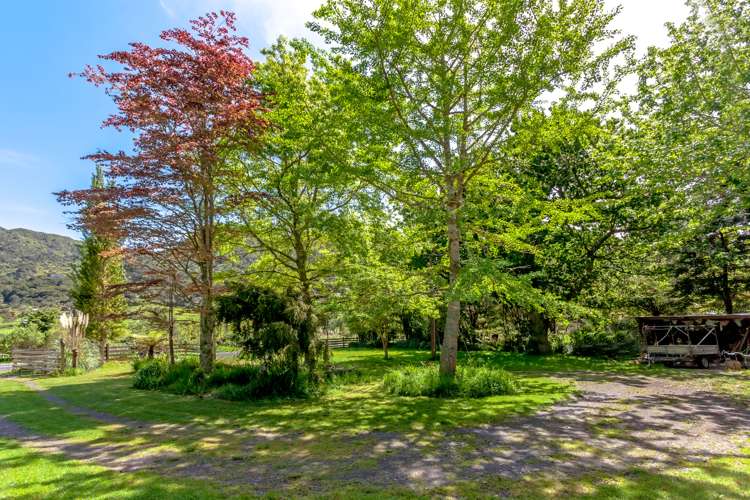 324 Tapu Coroglen Road Tapu_22