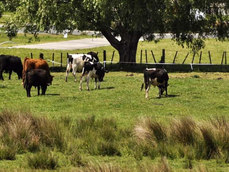 53 Ocean Beach Road Tairua_32