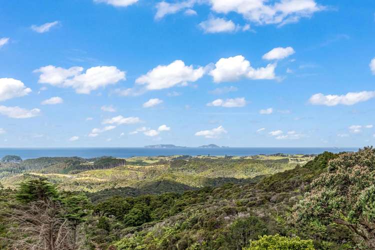 68 Kiwi Bush Lane Ngunguru_19