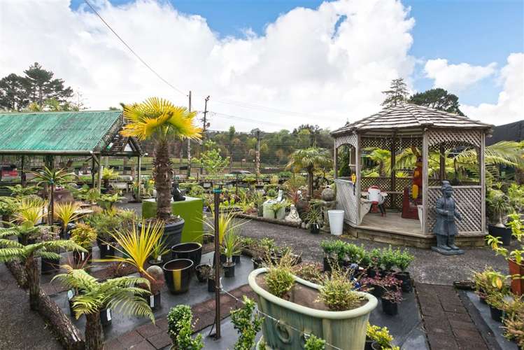 316 Henderson Valley Road Henderson Valley_14