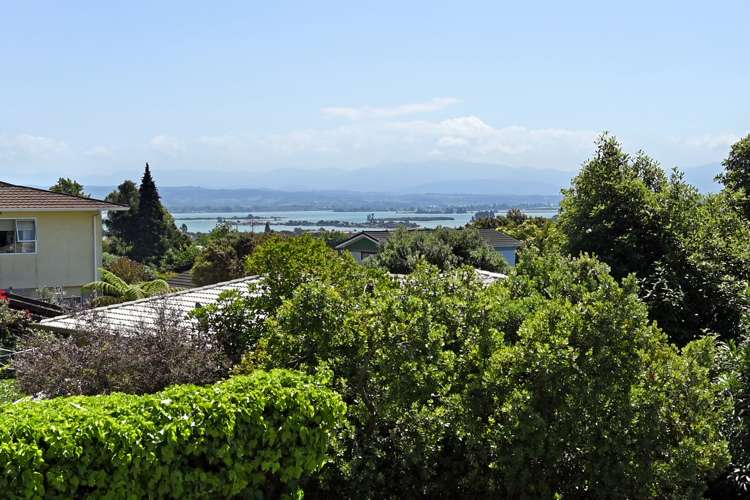 18 Cherry Avenue Enner Glynn_8