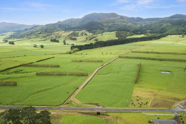 1369 Te Aroha-Gordon Road Manawaru_2