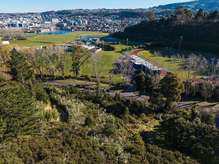 40 Butts Road North Dunedin_1