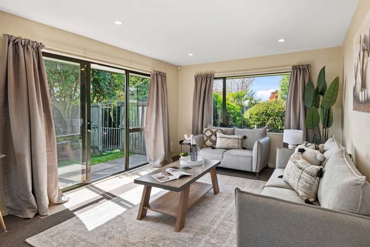 15 Harrys Way Redwood_6