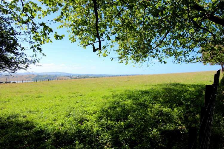 425 Murray Road Pukekawa_12