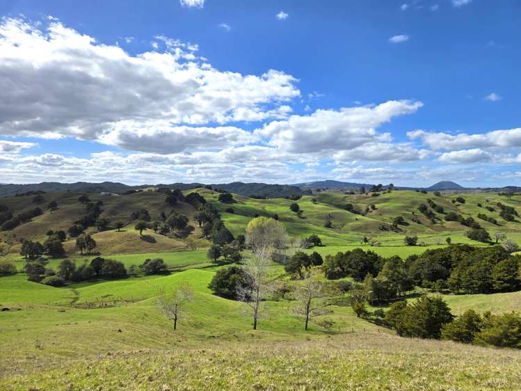 2761 State Highway 14 Whangarei_15