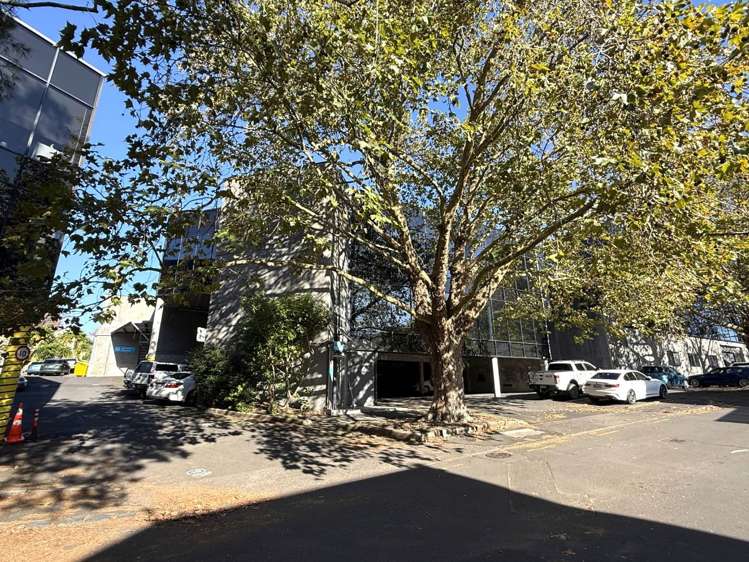 5 Wilkins Street Freemans Bay_6