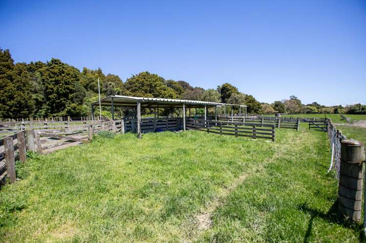327 Okarae Road Dannevirke_7