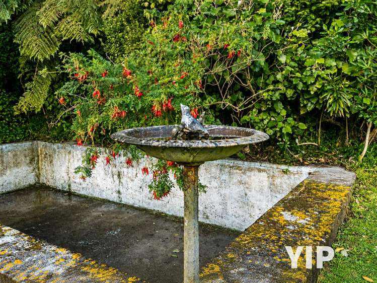 46 Glanmire Road Newlands_34