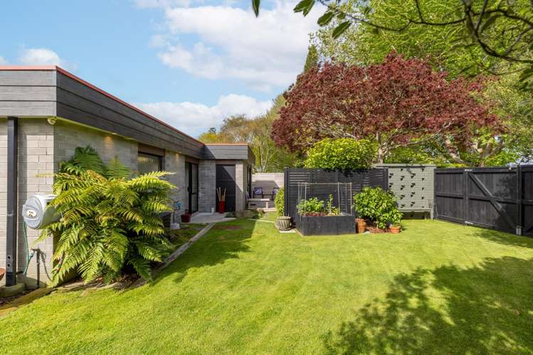 15 Kestrel Crescent Matamata_20