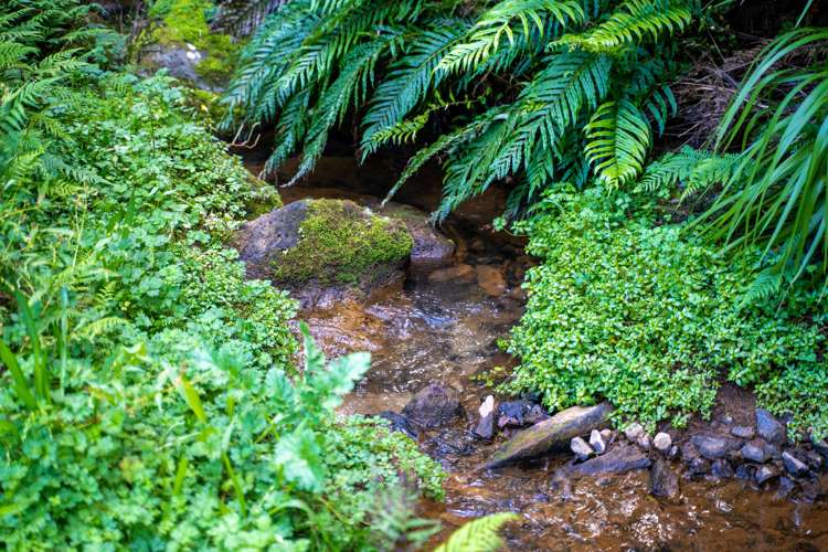 69b Sands Road Whareora_18