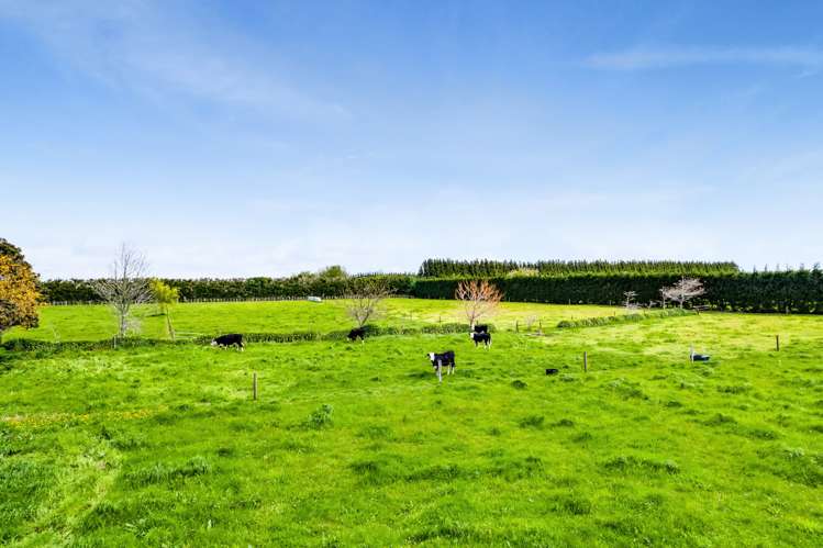 484 Corbett Road Lepperton_29