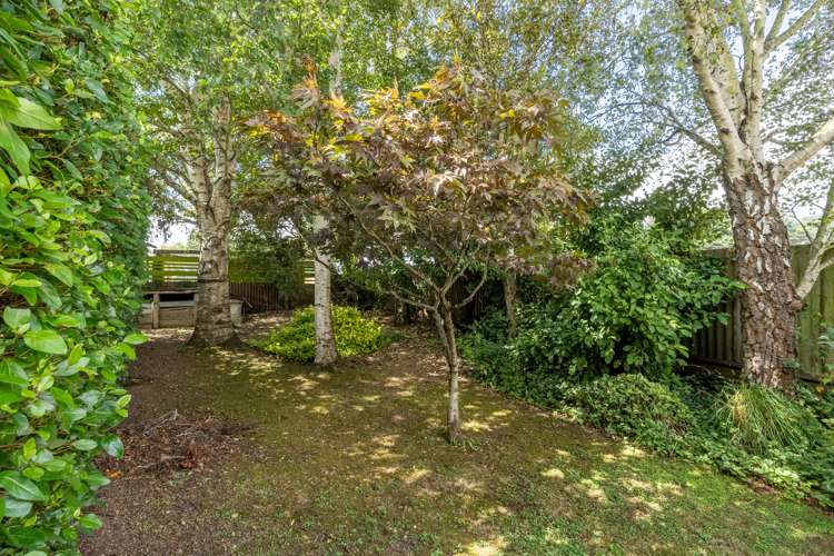 75 Gerrard Road Winton_13